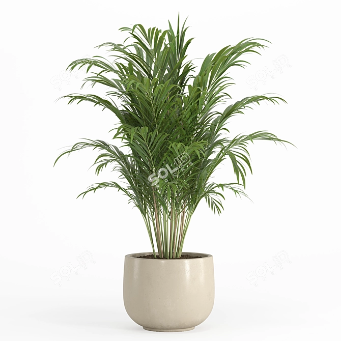 Shelf Plant Set | Modern Decor 3D model image 3