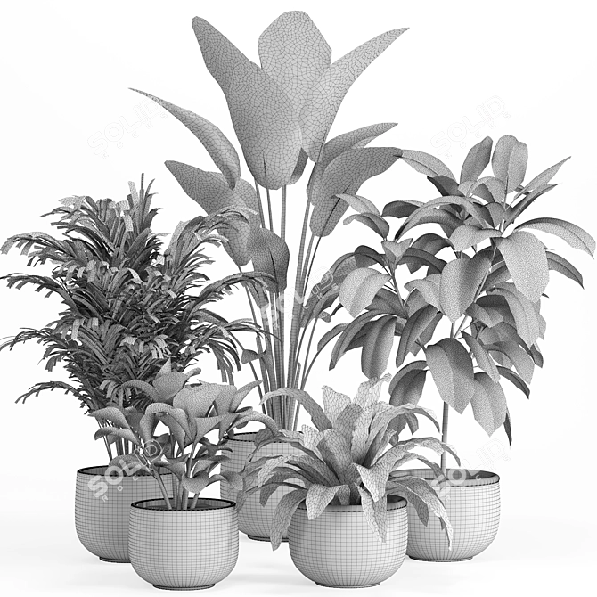 Shelf Plant Set | Modern Decor 3D model image 4