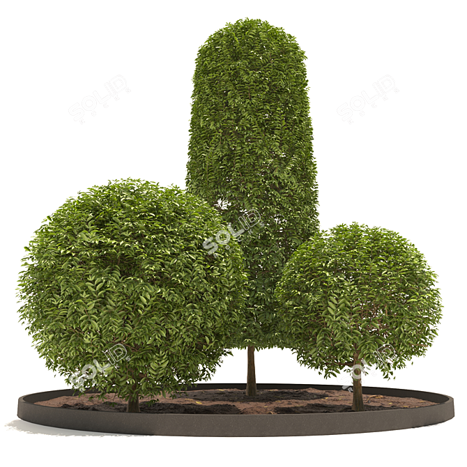 3D Plants Collection Set 3D model image 2