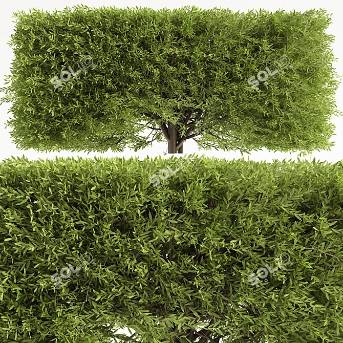 Elegant Furniture Set 3D Model 3D model image 2