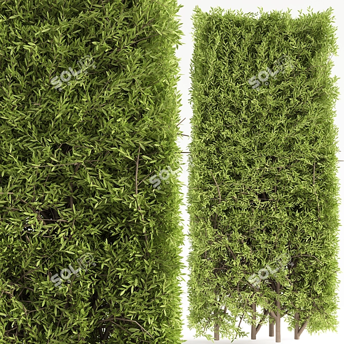 Elegant Furniture Set 3D Model 3D model image 3