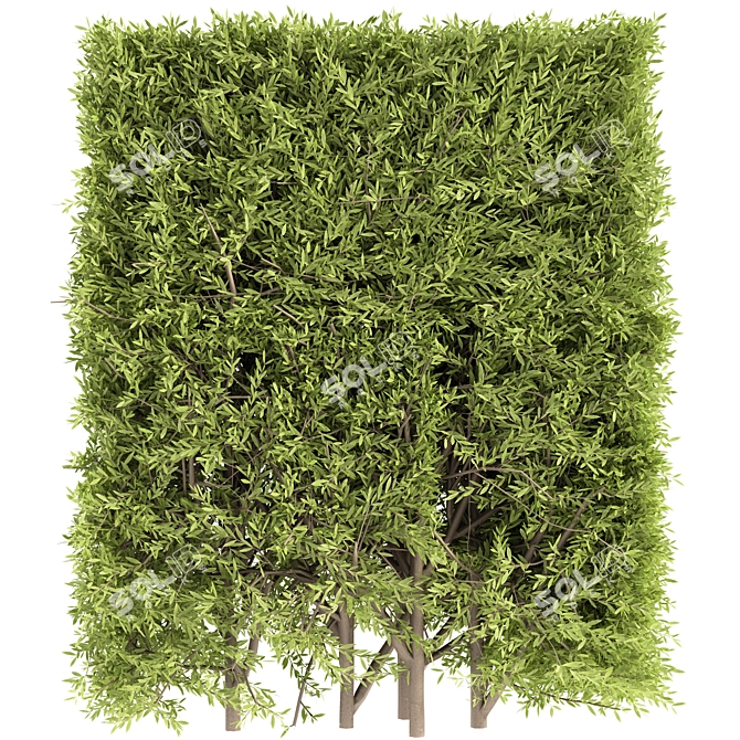 Elegant Furniture Set 3D Model 3D model image 4