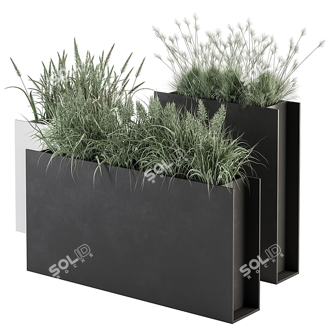 Plants in Outdoor Box Display 3D model image 2