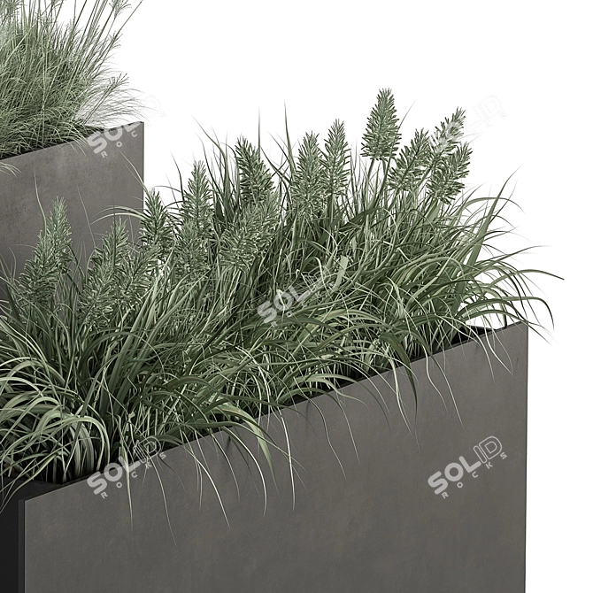 Plants in Outdoor Box Display 3D model image 4