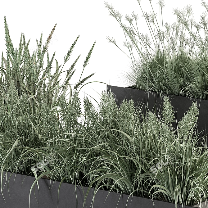 Plants in Outdoor Box Display 3D model image 5