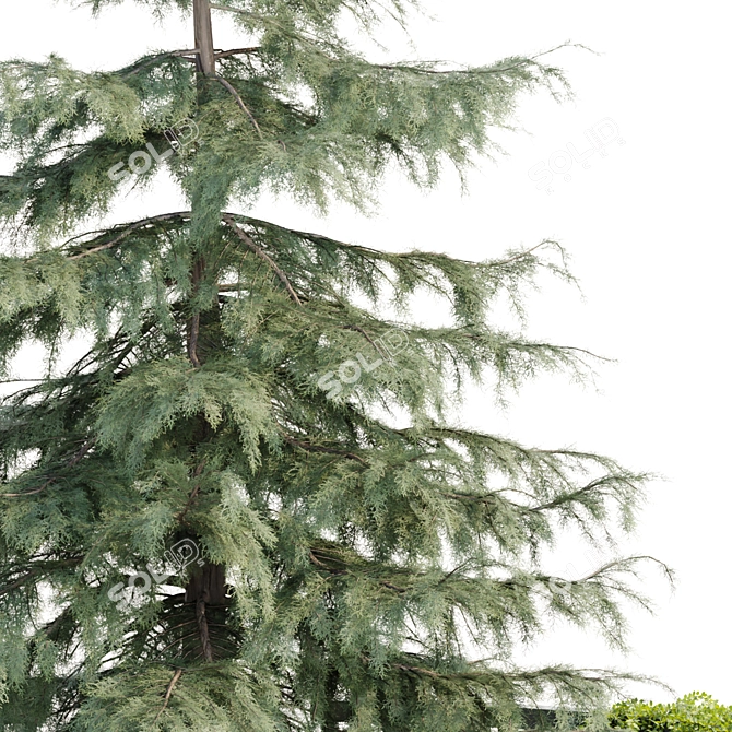 PBR Outdoor Garden Model Vol.106 3D model image 2