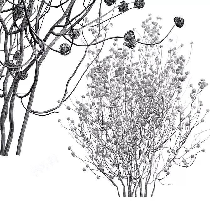 Tall Paperbush Plant Model Kit 3D model image 3