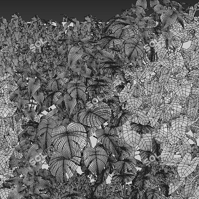 Botanical Wall Art Collection 3D model image 2