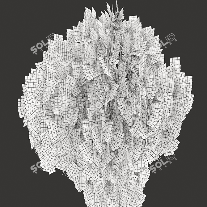 Chinese Thuja Tree Pair 3.3m 3D model image 4