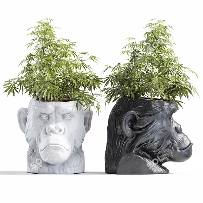 Resin Ape Head Planter, White 3D model image 1