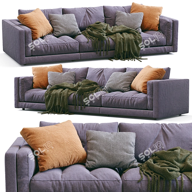 Modern Luxury Sofa LUCIEN Flexform 3D model image 7