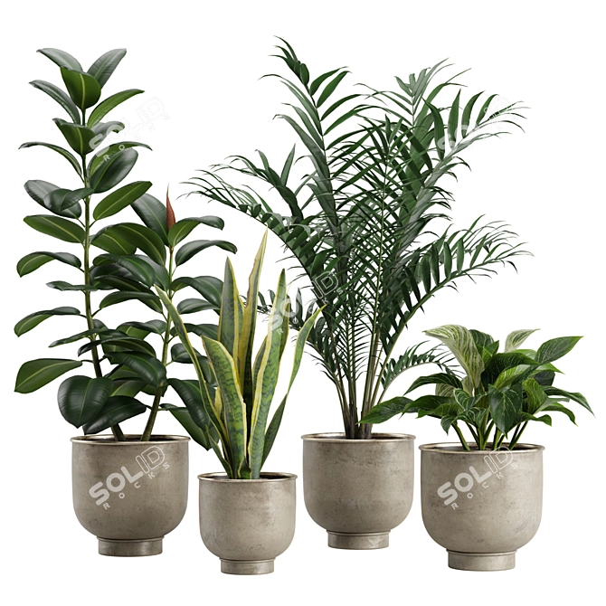 Indoor Exotic Plants Bundle Pack 3D model image 1