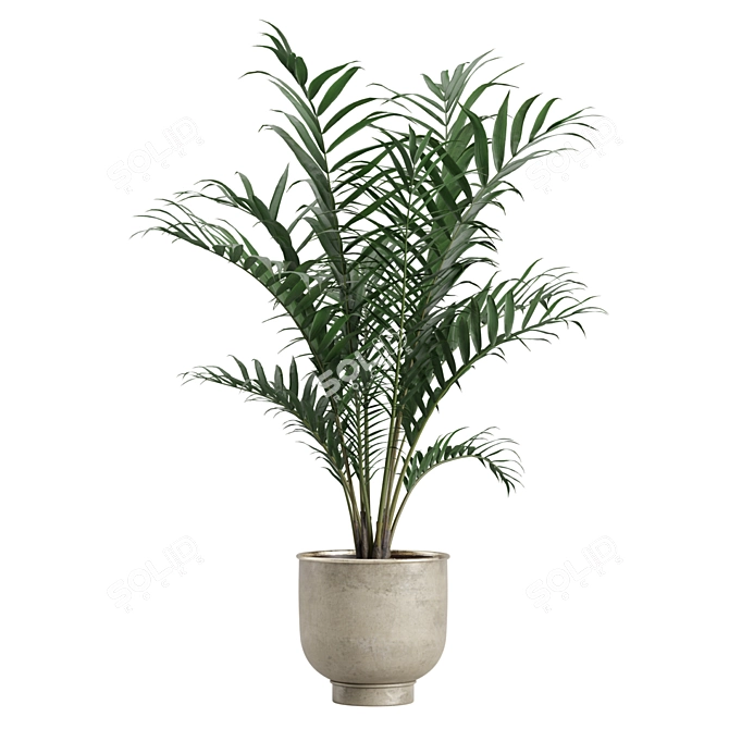 Indoor Exotic Plants Bundle Pack 3D model image 4