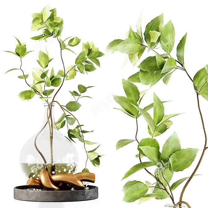 Elegant Detail 3D Model Set 3D model image 3