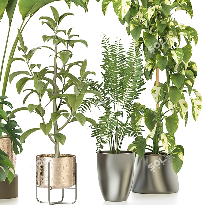 Modern Indoor Plant Collection 3D model image 3