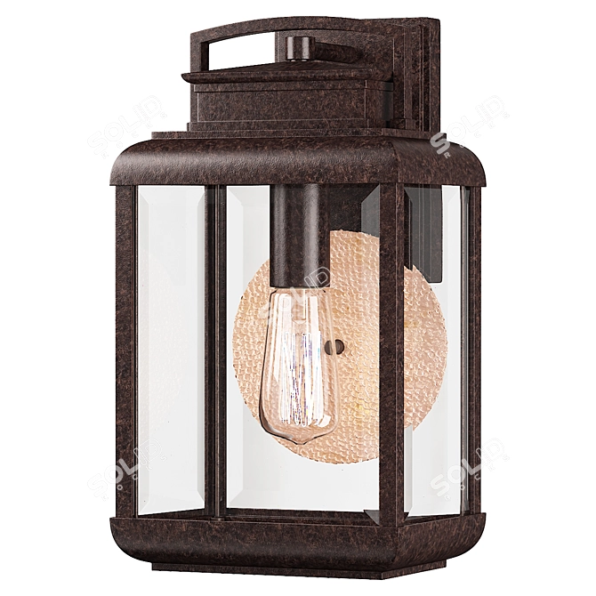 Quoizel Outdoor Wall Lantern QZ-BYRON-M 3D model image 1