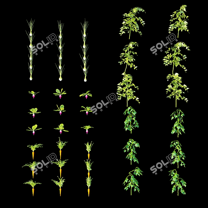 Kitchen Garden Greenhouse Set-5 3D model image 3