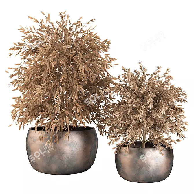 Botanical Themed Indoor Plant Set 3D model image 1