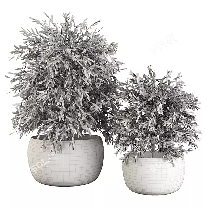 Botanical Themed Indoor Plant Set 3D model image 3