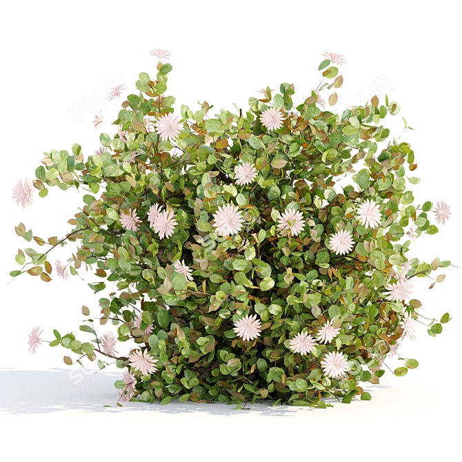  Blooming Bushes Pack Vol. 108 3D model image 6