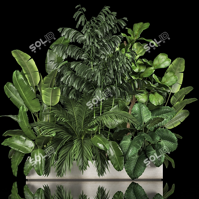 Exotic Plant Collection for Home Garden 3D model image 1