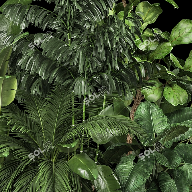 Exotic Plant Collection for Home Garden 3D model image 3