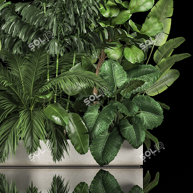 Exotic Plant Collection for Home Garden 3D model image 4