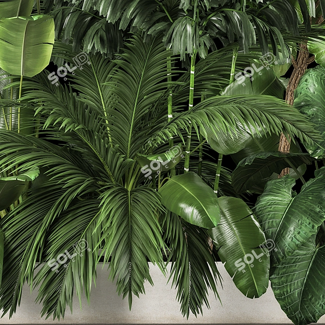 Exotic Plant Collection for Home Garden 3D model image 5