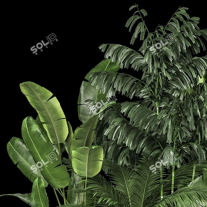 Exotic Plant Collection for Home Garden 3D model image 6