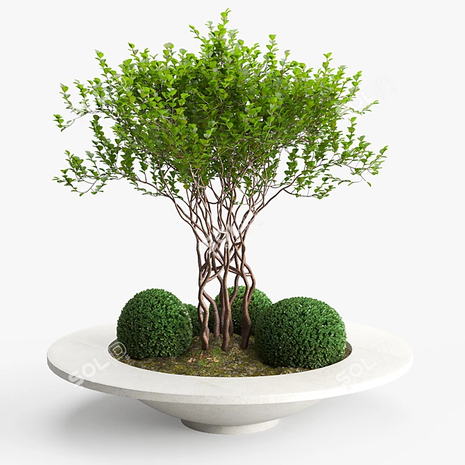 Versatile Concrete Planter - Besso 3D model image 1