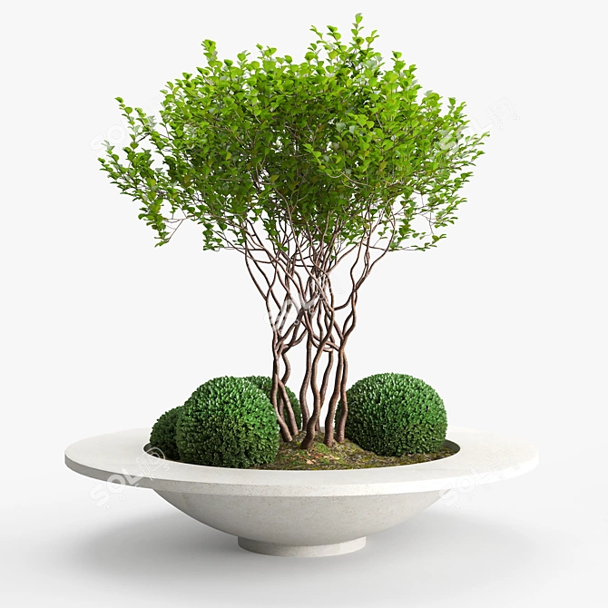 Versatile Concrete Planter - Besso 3D model image 2