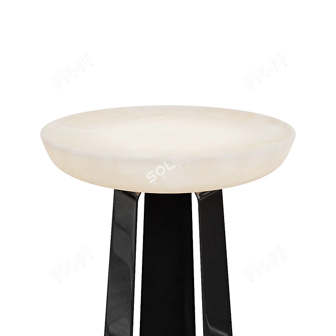 Palm Floor Lamp by Emmanuel Levet Stenne 3D model image 2