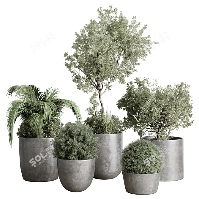 Concrete Vase Tree Bush Pot 3D model image 1