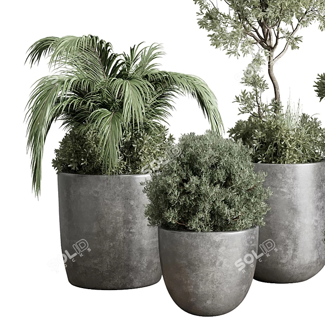 Concrete Vase Tree Bush Pot 3D model image 2