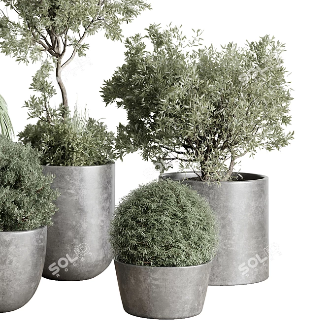 Concrete Vase Tree Bush Pot 3D model image 4