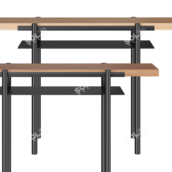 Metal Console Table with Shelf 3D model image 2