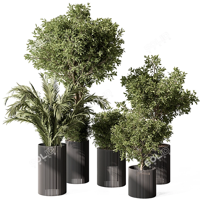 Indoor Greenery Duo in Pots 3D model image 1