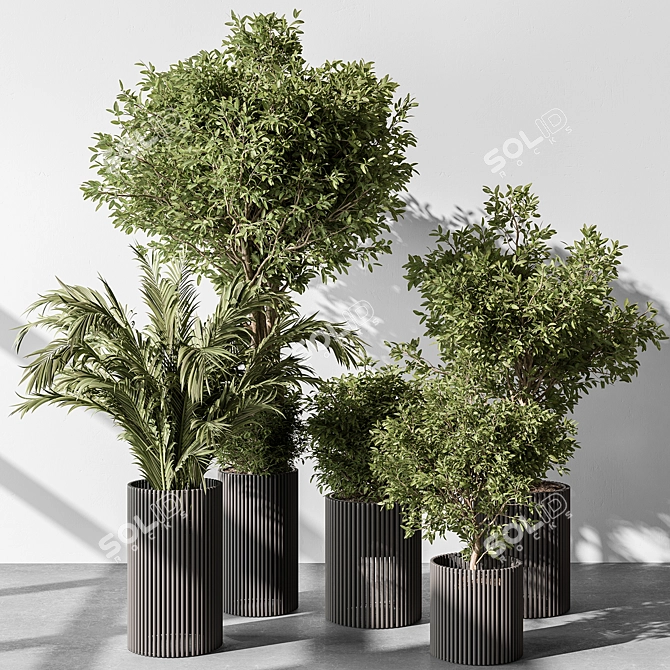 Indoor Greenery Duo in Pots 3D model image 2