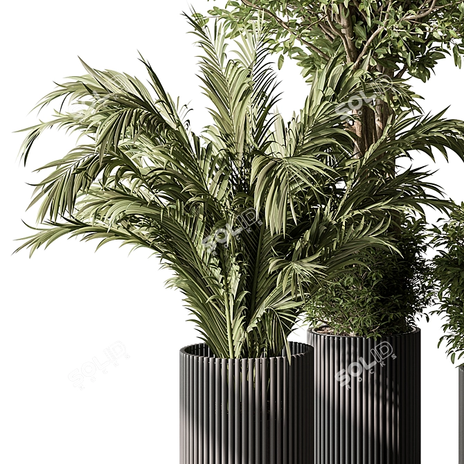 Indoor Greenery Duo in Pots 3D model image 3