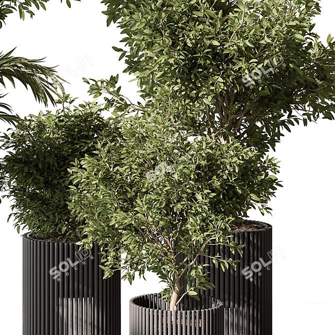 Indoor Greenery Duo in Pots 3D model image 4