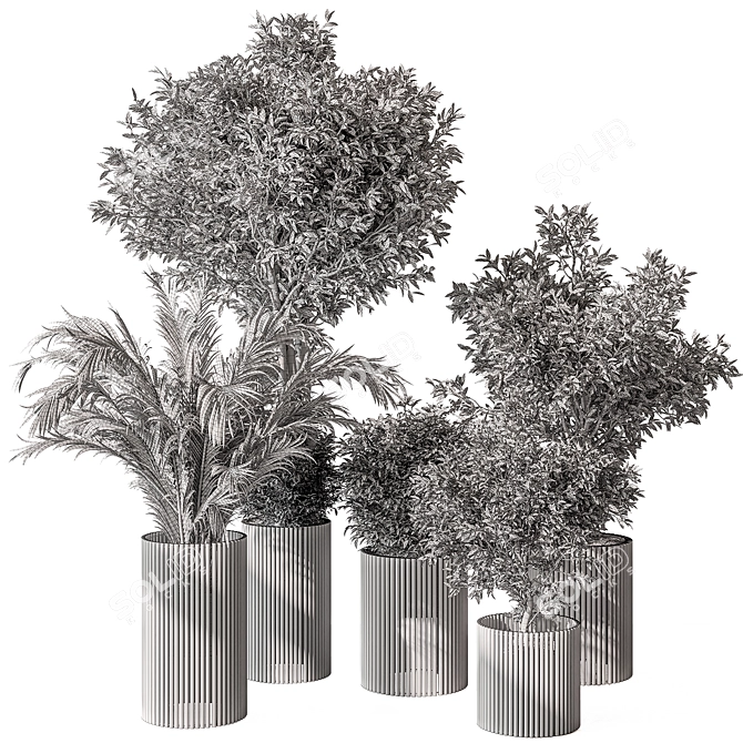 Indoor Greenery Duo in Pots 3D model image 6