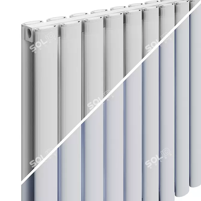 Carisa Tallis Double Radiator 3D model image 2