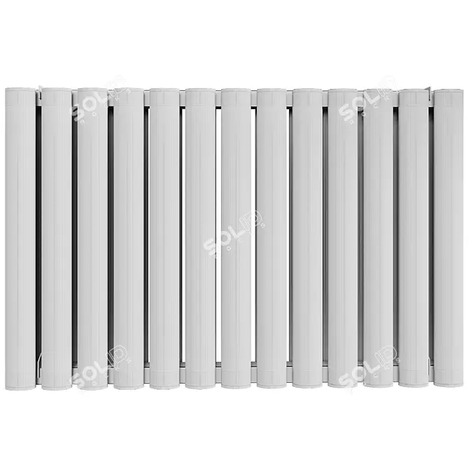 Carisa Tallis Double Radiator 3D model image 4