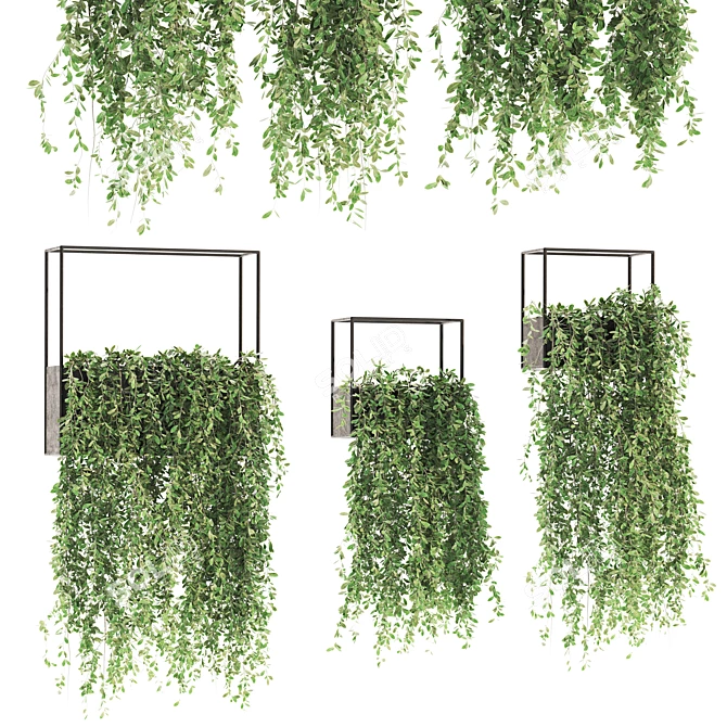 Premium Ivy Plant Collection 3D model image 1