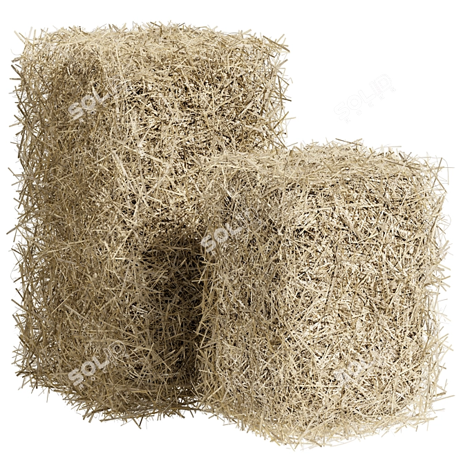 Premium Hay Bales - Various Sizes 3D model image 1