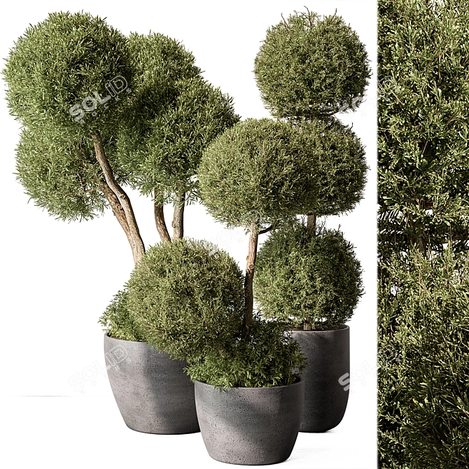 Outdoor Topiary Ball Plant Set 3D model image 1