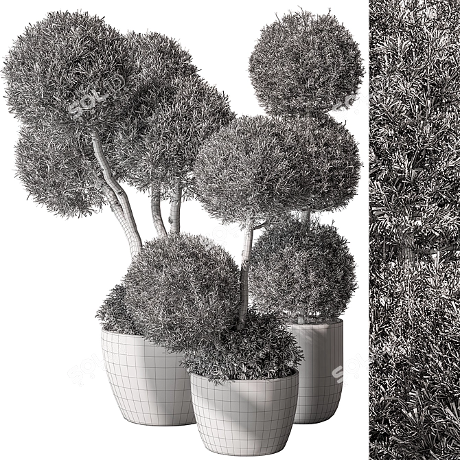 Outdoor Topiary Ball Plant Set 3D model image 4