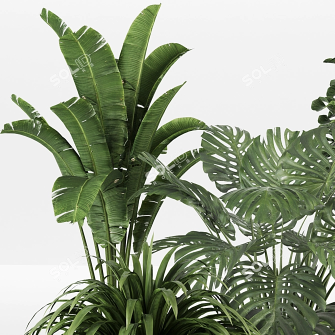 Urban Jungle Plant Collection 010 3D model image 2