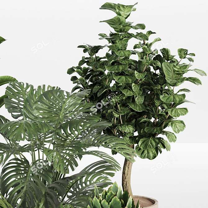 Urban Jungle Plant Collection 010 3D model image 3