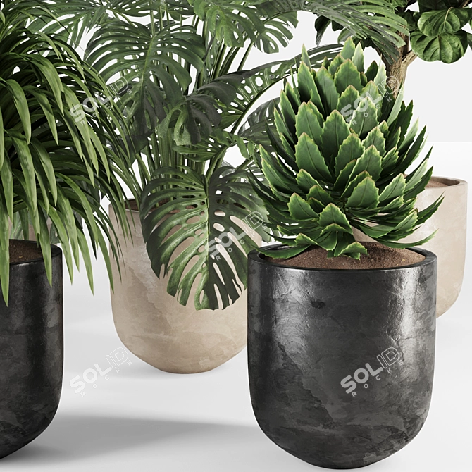 Urban Jungle Plant Collection 010 3D model image 4